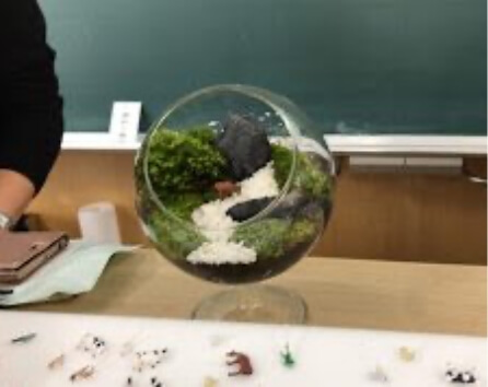 苔リウム講座